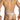 Daddy Underwear Men's Bikini with Mesh DDI017
