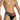 Daddy Underwear Men's Bikini with Mesh DDI017