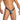 Daniel Alexander Men's Thongs with Leopard Print DAK076