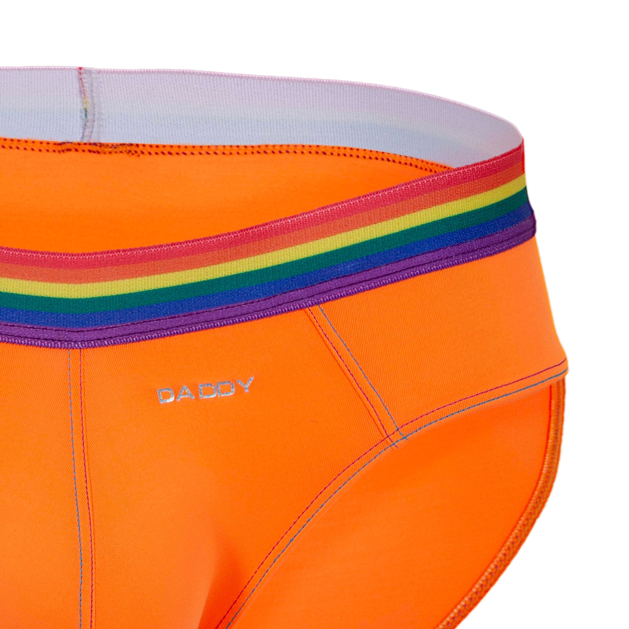 Daddy DDJ027 LGBT Waistband Brief – Skiviez