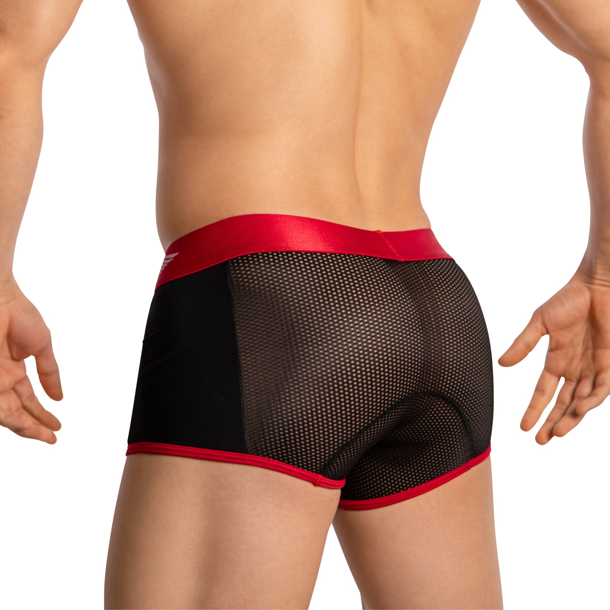 Agacio Boxer Sheer Trunks AGG086 Provocative Men's Underclothing