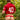 Agacio V-Cut Sheer Men's Thongs  AGK036 Fashionable Men's Undies