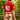 Agacio V-Cut Sheer Men's Thongs  AGK036 Sensual Men's Underwear