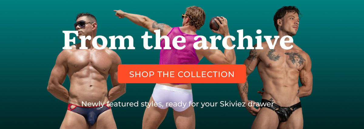 Skiviez