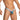 Daniel Alexander Men's Thongs with Leopard Print DAK076