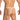 Daniel Alexander Men's Thongs with Leopard Print DAK076