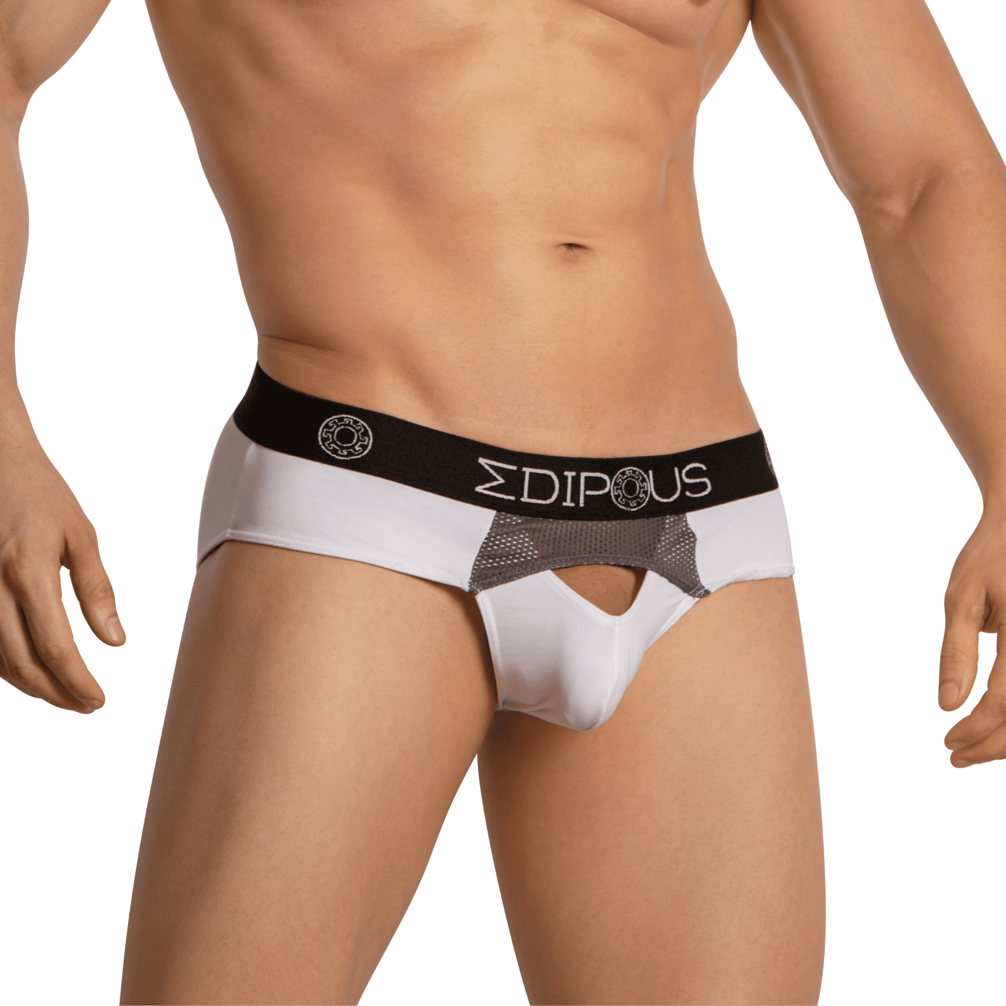 Edipous EDJ023 Brief