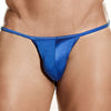 Daniel Alexander DA612 Bikini Brief