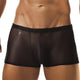 Joe Snyder JS08 Boxer