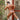Agacio AGK026 Backwards Thong