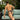 Cover Male CMJ030  Sexy Hot Brief