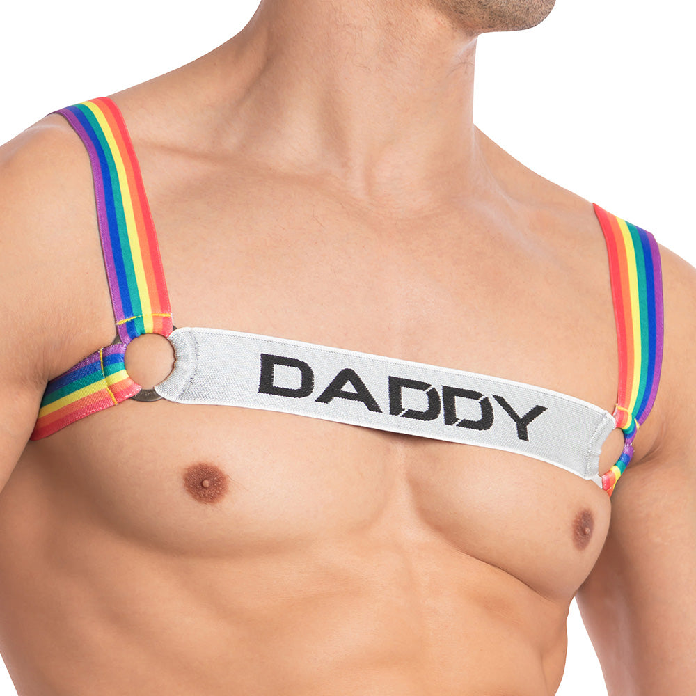 Daddy DDU004 Bodysuit & Harness