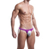 Daniel Alexander DAI051 Bikini Brief