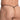 Daniel Alexander DAL051 Vibrant Mesh G-string