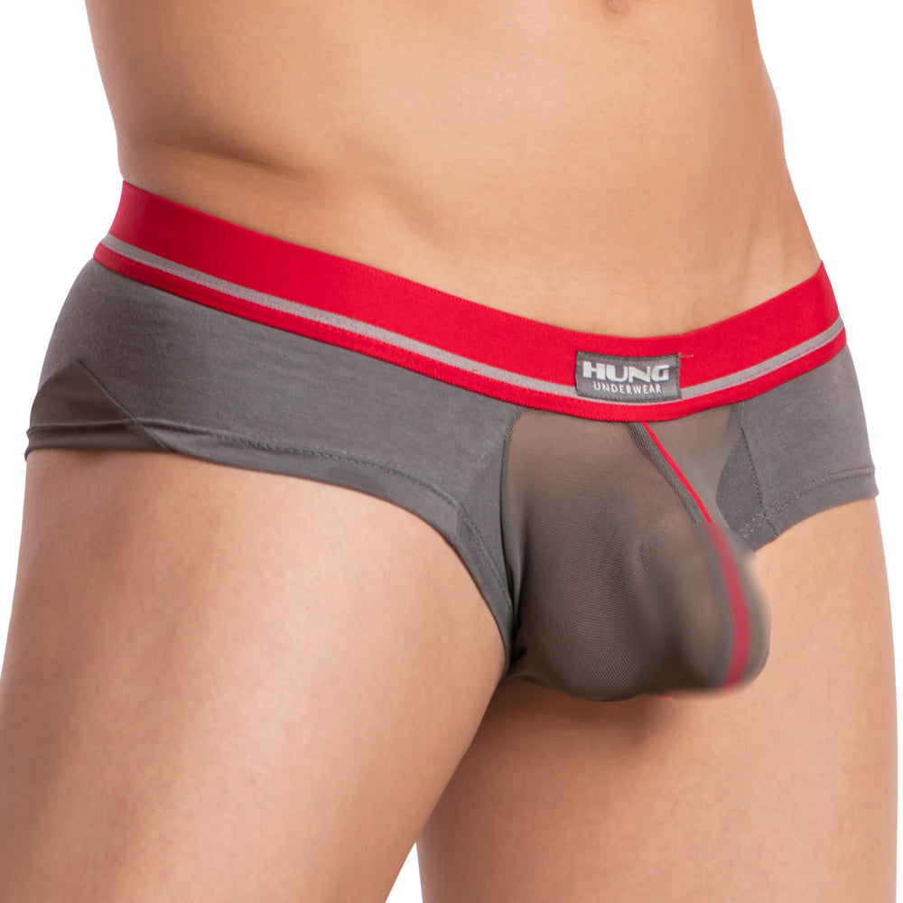 Hung HGG010 Brief