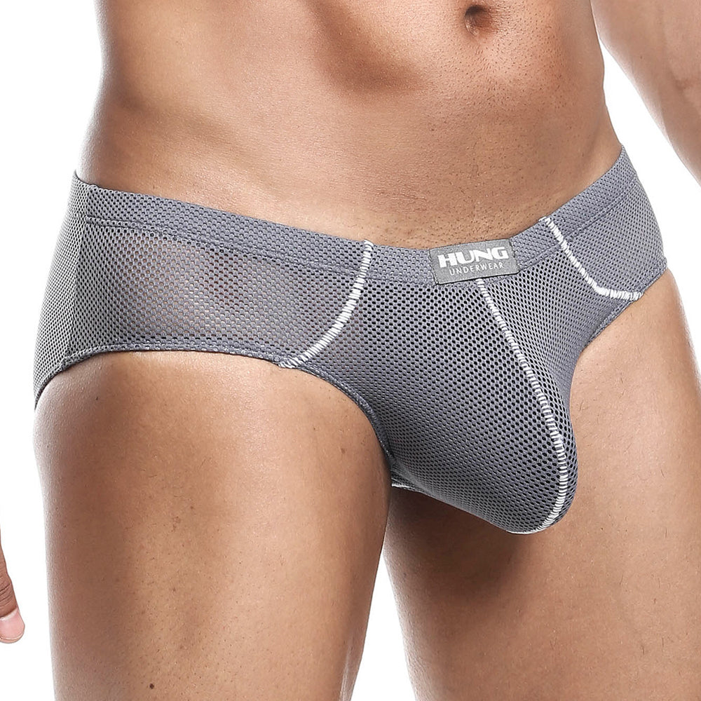 Hung HGJ008 Brief