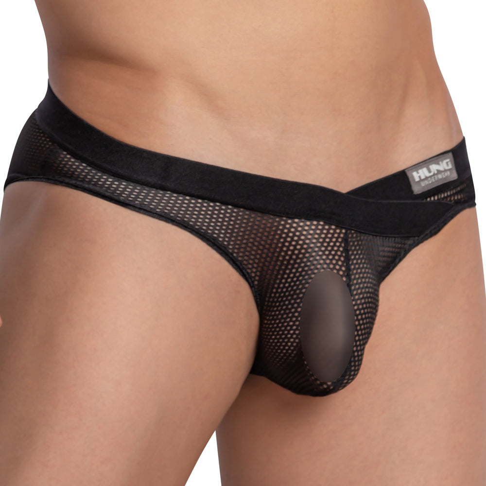 Hung HGJ019 Brief