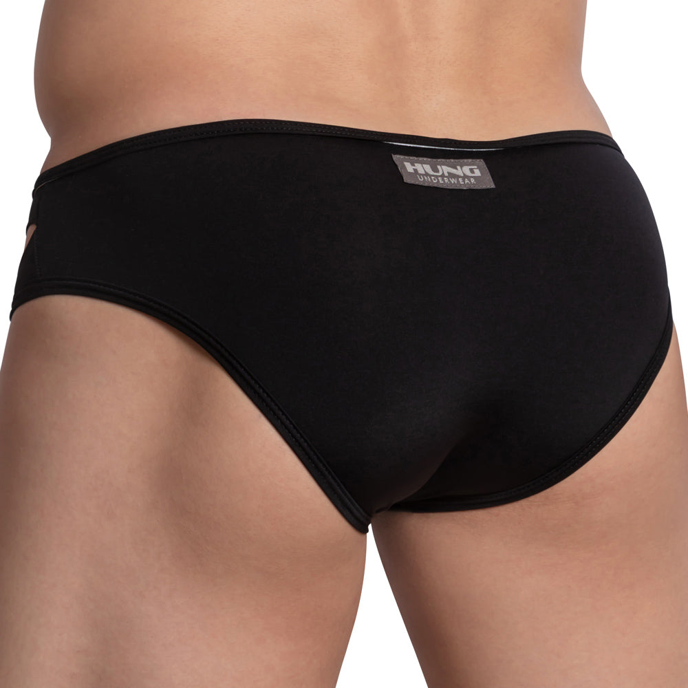 Hung HGJ020 Brief