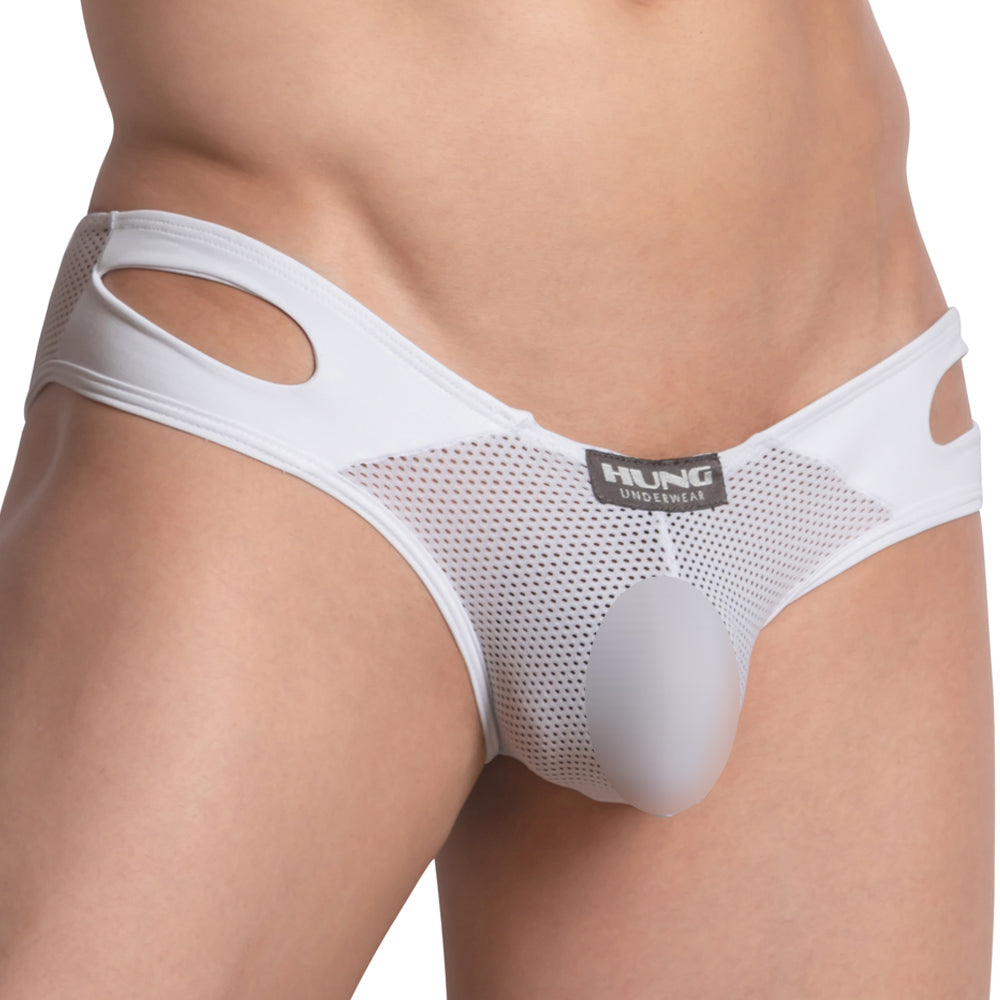 Hung HGJ021 Brief
