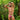 Kyle KLI040 Tri Color Comfy Bikini